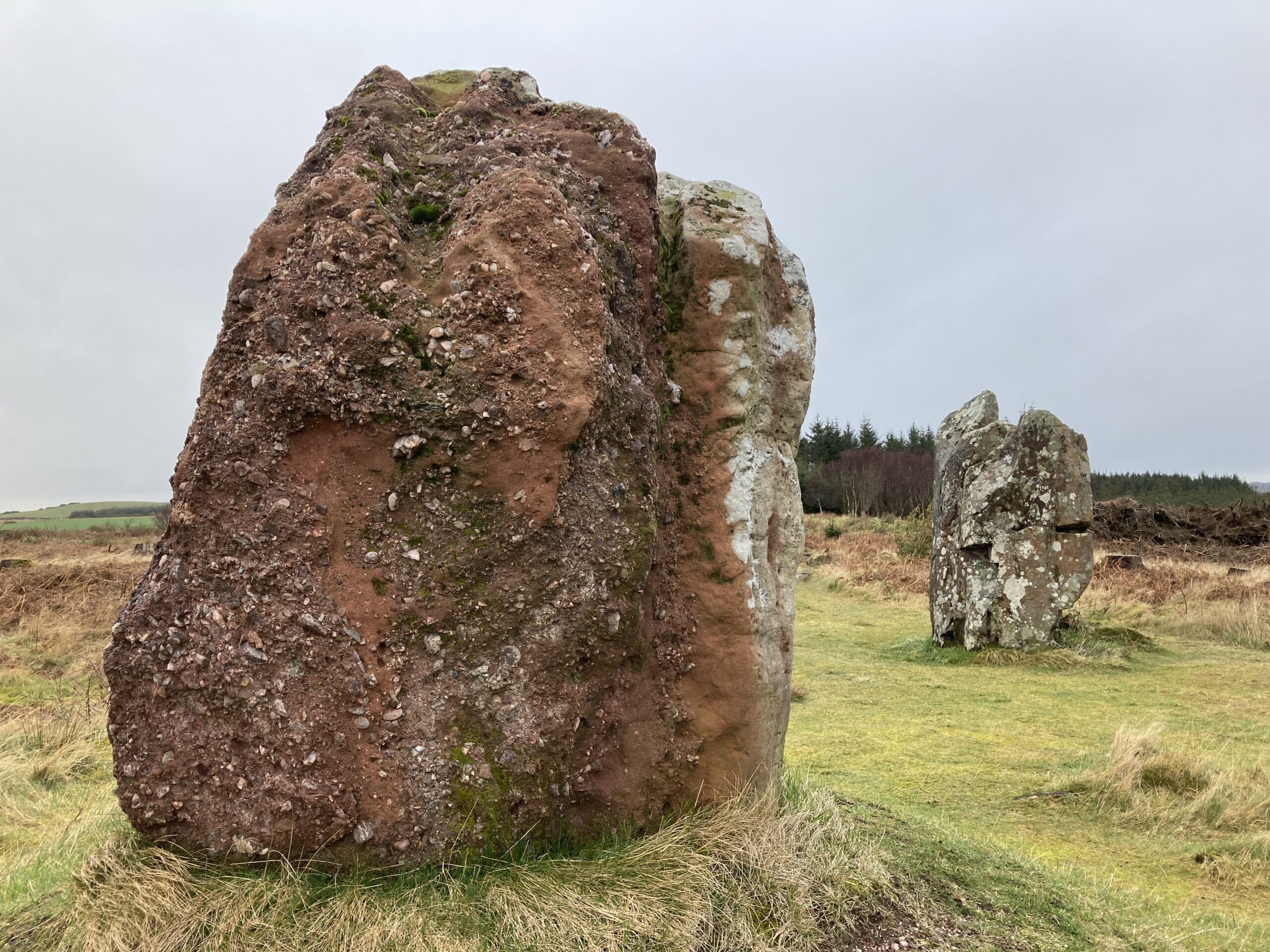 Whispers from the Undergrowth: Discovering Bute’s Hidden History